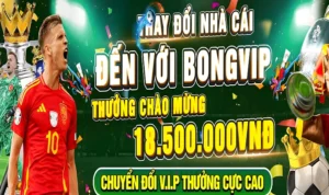 Đăng Ký BongVip: Những Lưu Ý Quan Trọng Không Thể Bỏ Qua